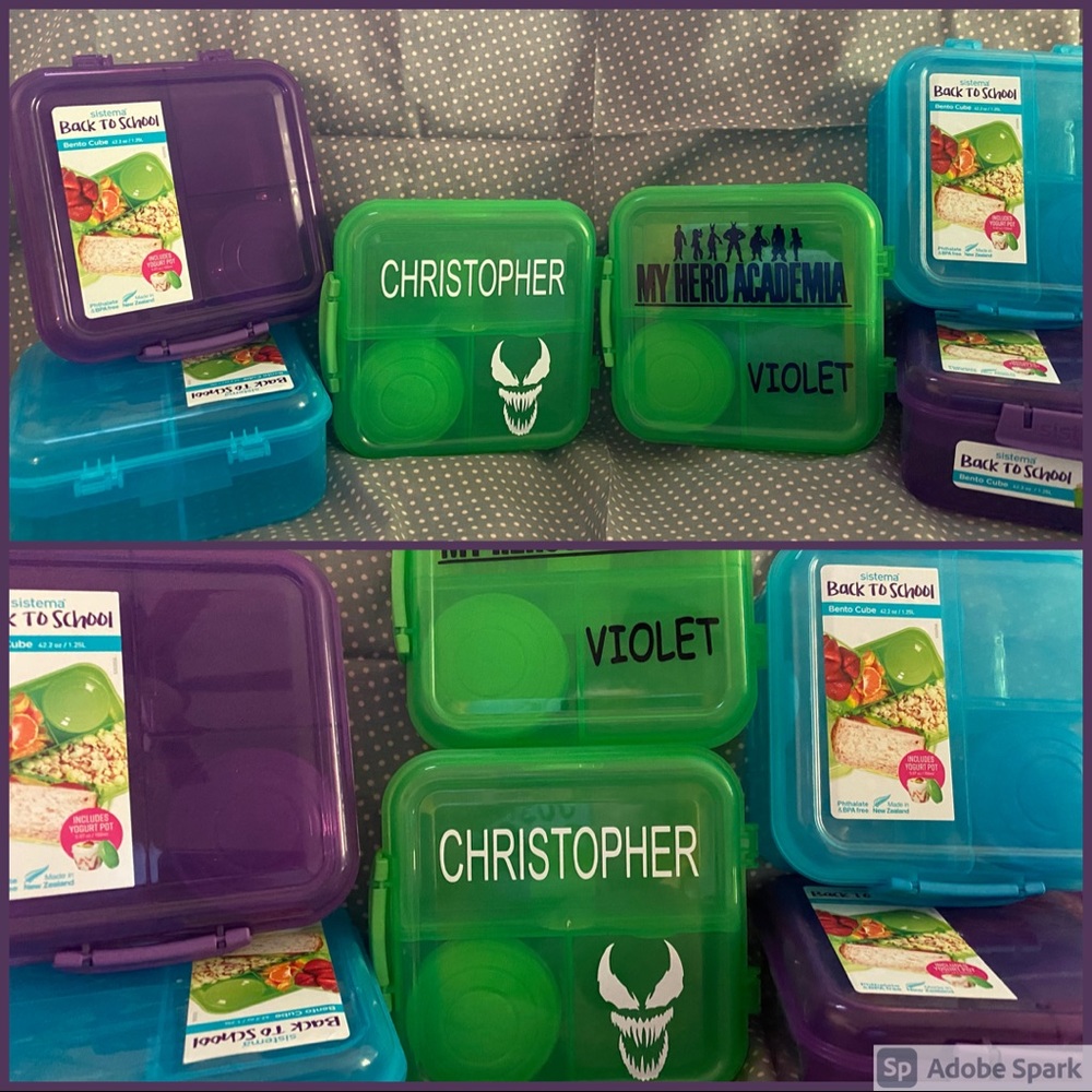 Bento Boxes - Picture 4 of 4